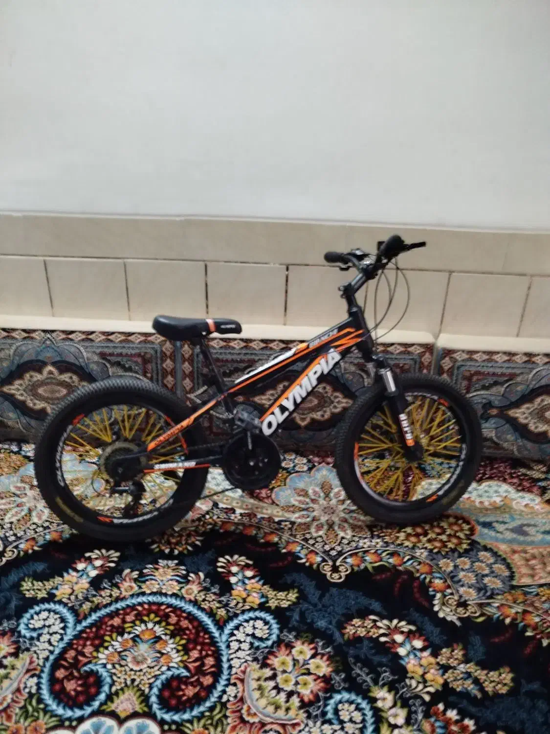 دوچرخه حرفه ای سایز ۲۰|دوچرخه، اسکیت، اسکوتر|اصفهان, ارزنان|دیوار