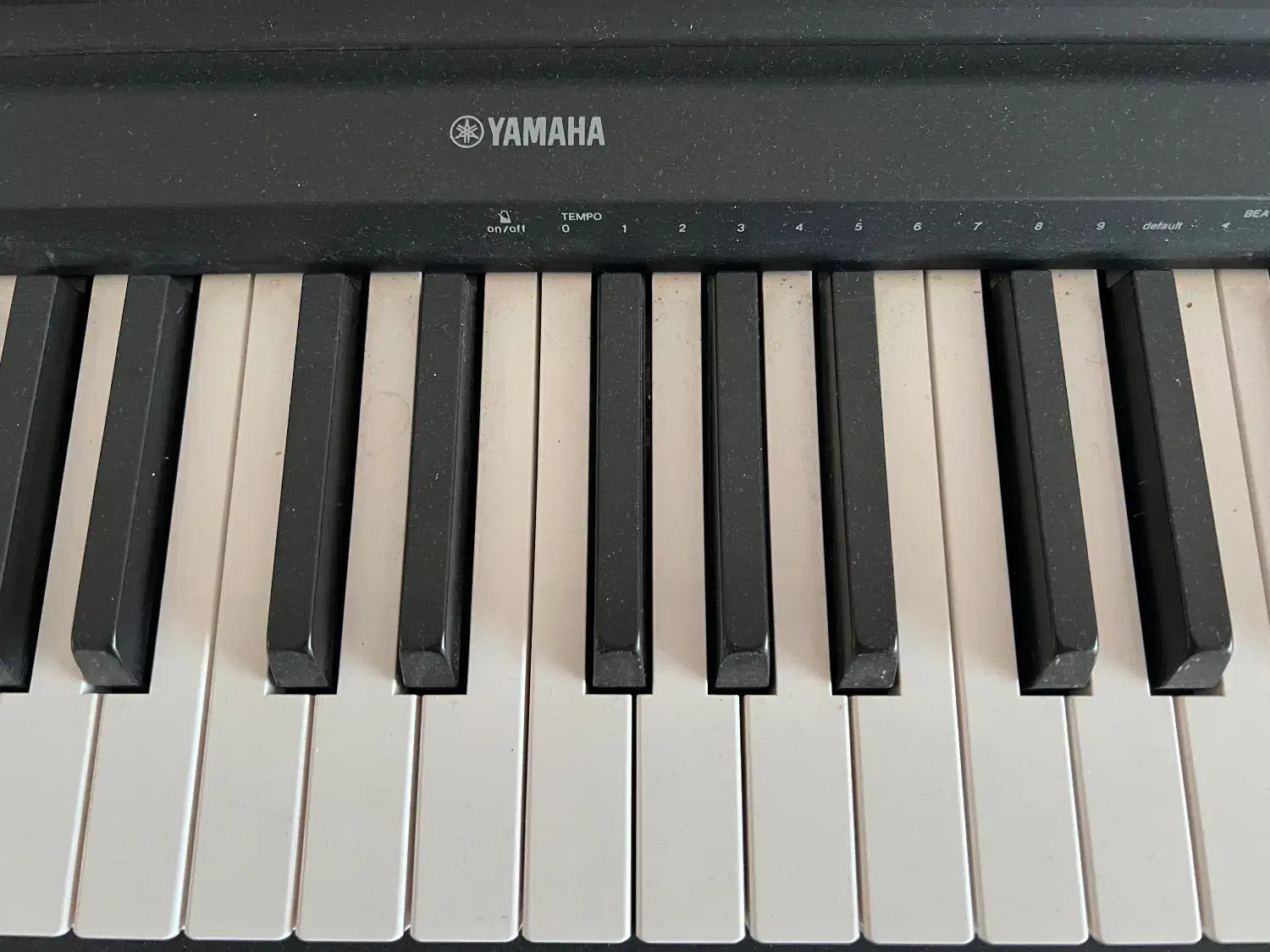 پیانو دیجیتال|پیانو، کیبورد، آکاردئون|زاهدان, |دیوار