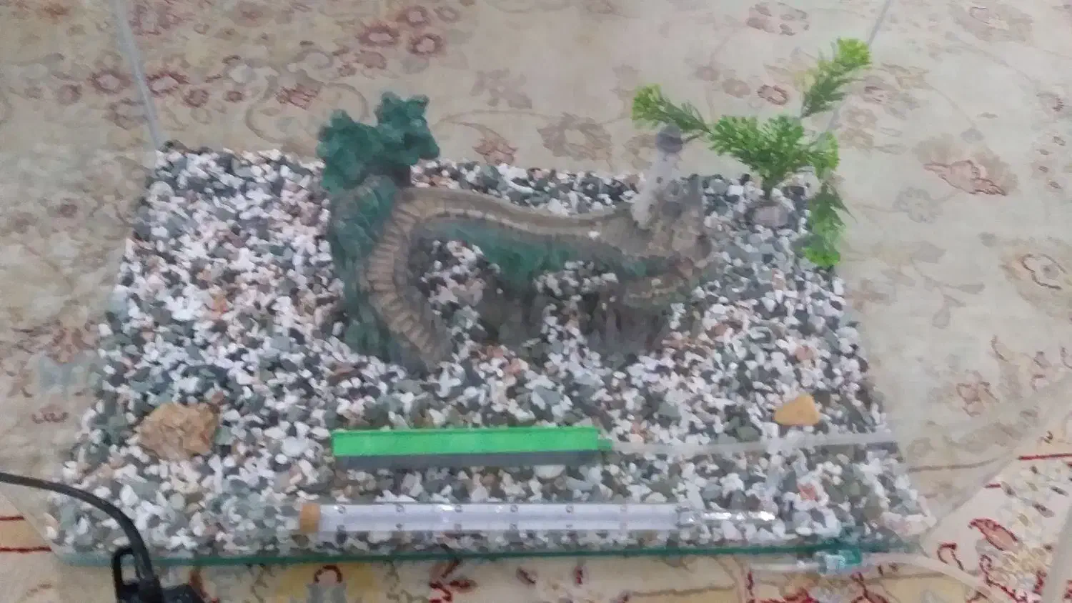 آکواریوم|ماهیگیری|فردیس, قریشی|دیوار