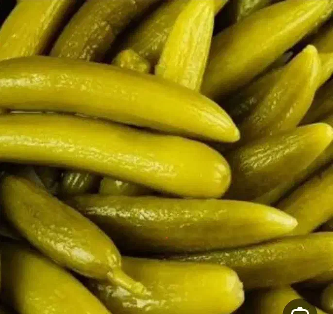 پخش کلی وجزی خیار شور رشت|خوردنی و آشامیدنی|رشت, آب آسیاب|دیوار