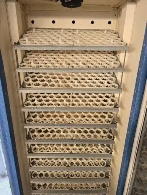 جوجه کشی|ماشینآلات صنعتی|اهواز, شهرک شهید عباس پور|دیوار