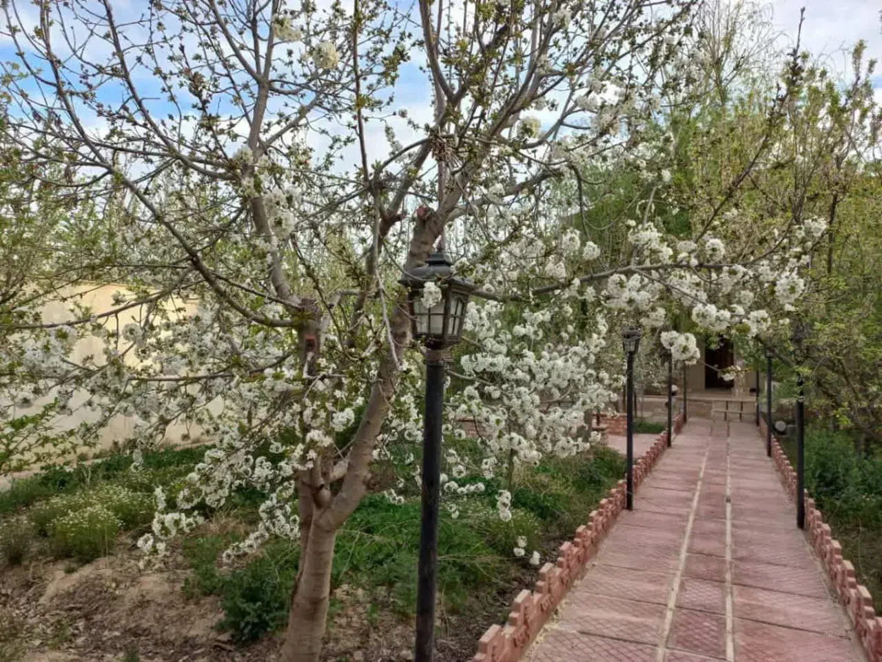 اجاره ویلا روزانه سهیلیه کردان زعفرانیه(ستاره شب)|اجارهٔ کوتاهمدت ویلا و باغ|کرج, فاز ۴ مهرشهر|دیوار