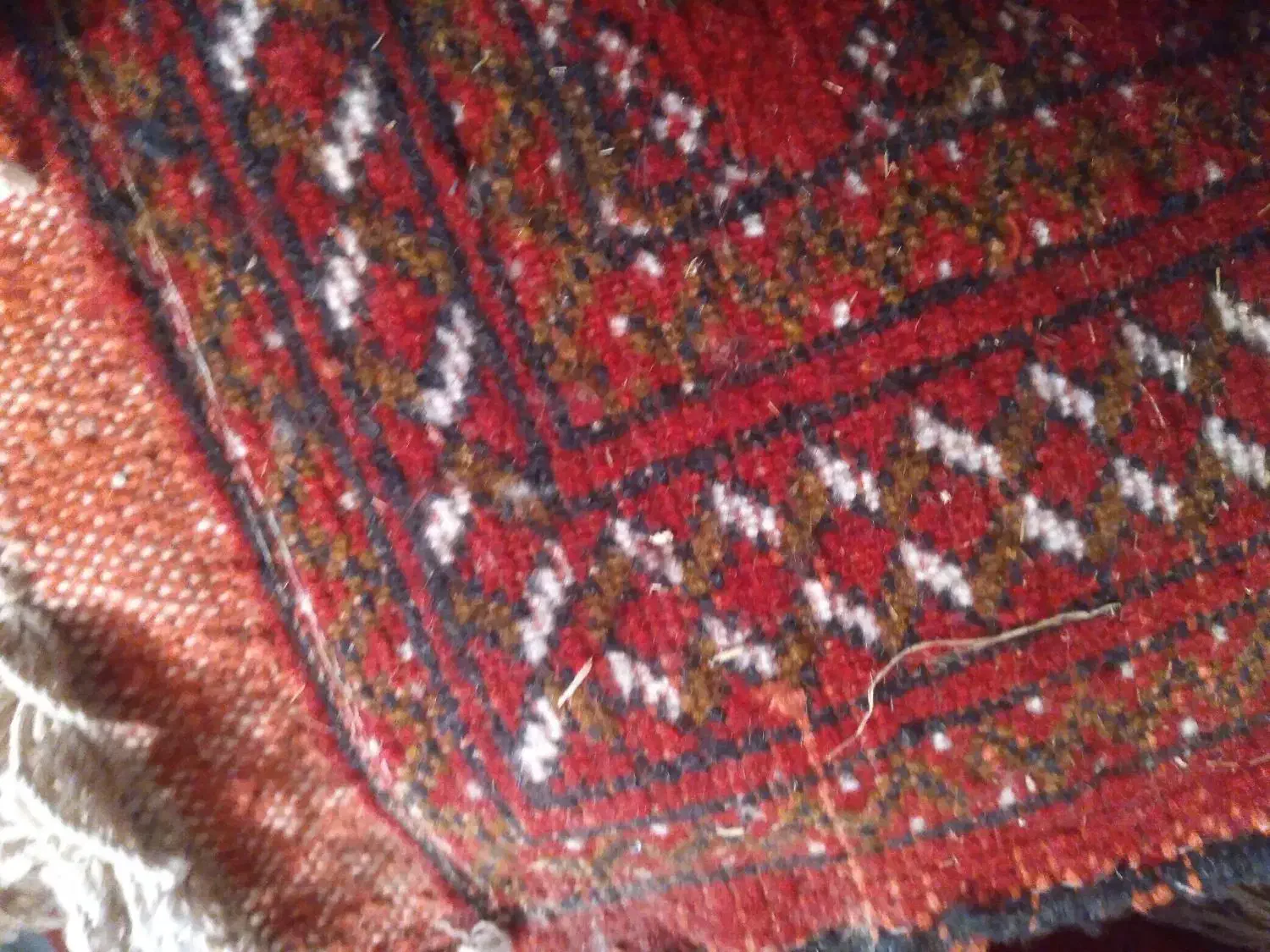 یک جفت رو  پشتی فرشی دستبافت ترکمن|فرش|قزوین, |دیوار