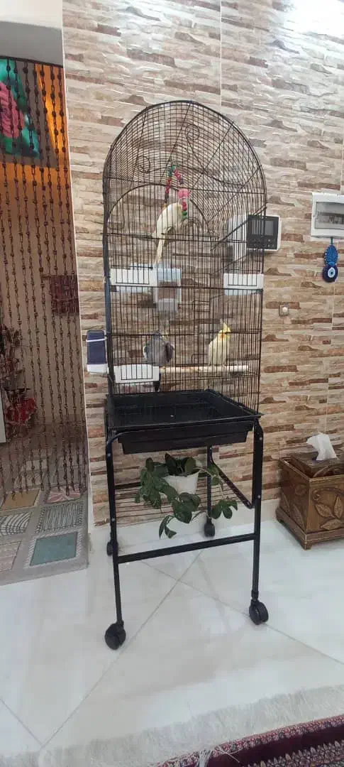 قفس عروس|لوازم جانبی حیوانات|تهران, جنتآباد جنوبی|دیوار