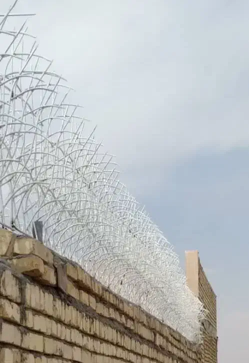 نرده حفاظ محافظ دیوار شاخ گوزنی دزدگیر|خدمات پیشه و مهارت|خمینی‌شهر, |دیوار