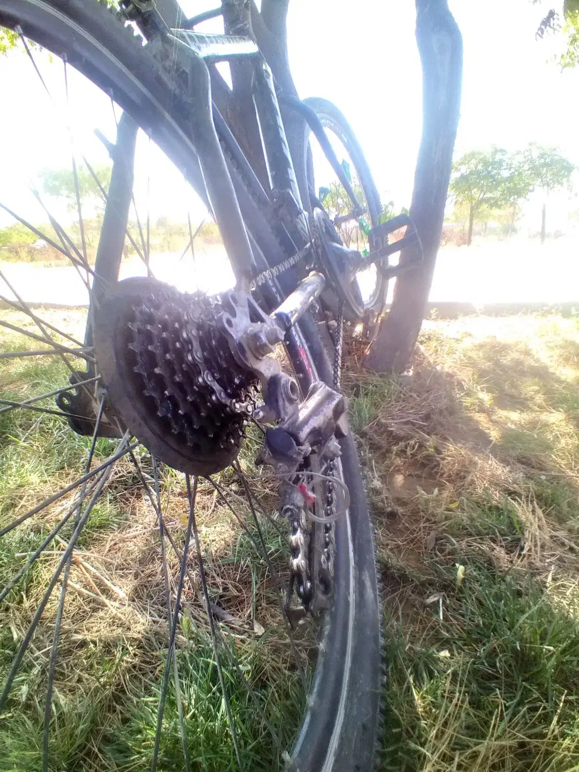 دوچرخه دنده ای ویوا|دوچرخه، اسکیت، اسکوتر|بجنورد, |دیوار