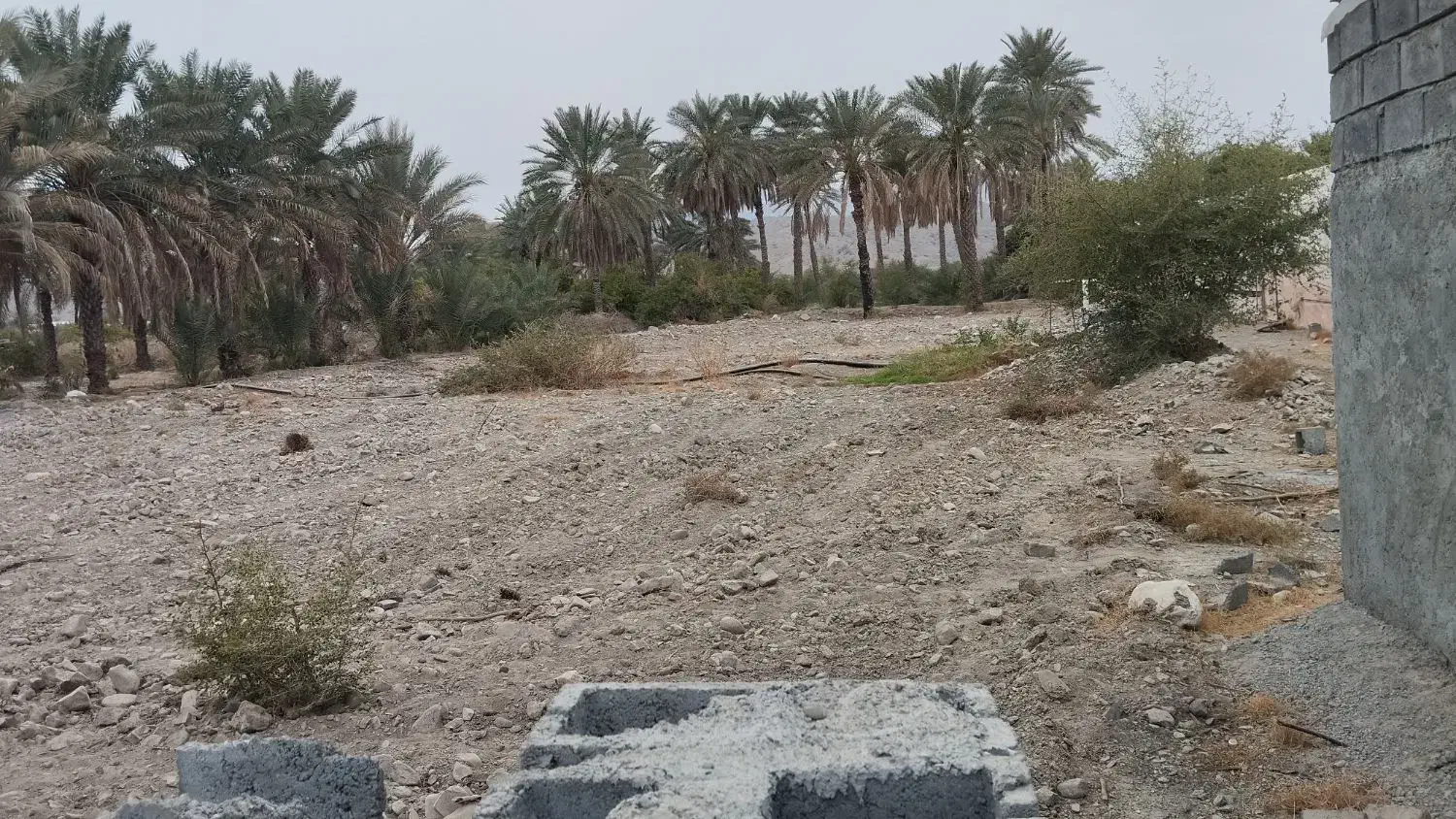 فروش زمین باغی|فروش زمین و ملک کلنگی|رودان, |دیوار