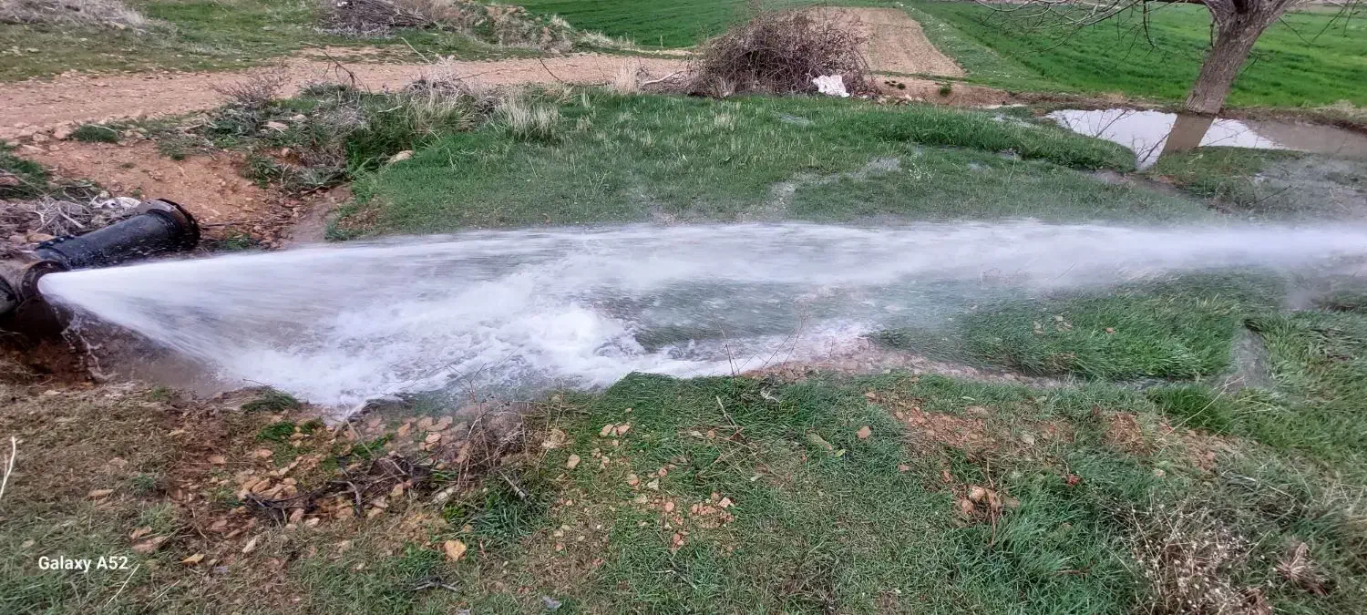 اجاره ۱ هکتار ونیم زمین کشاورزی لولهکشی باآب چشمه|اجارهٔ دفتر صنعتی، کشاورزی، تجاری|دینور, |دیوار