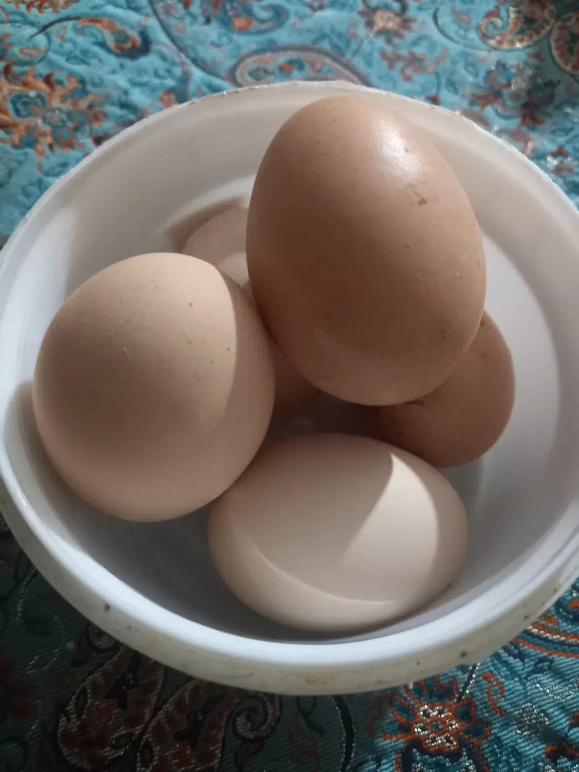 مواد غذایی|خوردنی و آشامیدنی|شاهرود, |دیوار