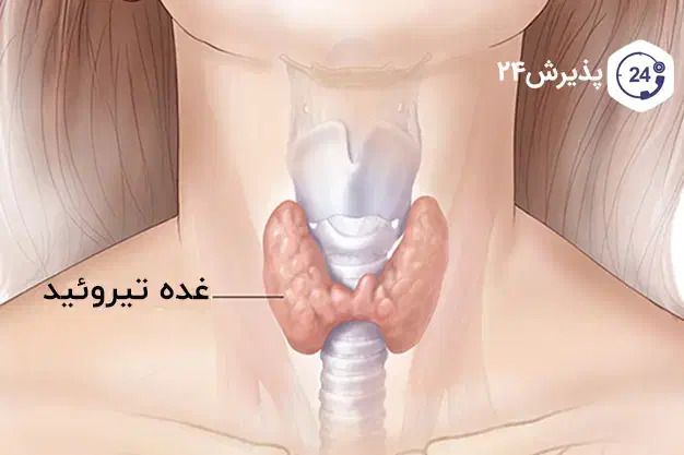 طب سنتی|فعالیت داوطلبانه|اردکان, |دیوار