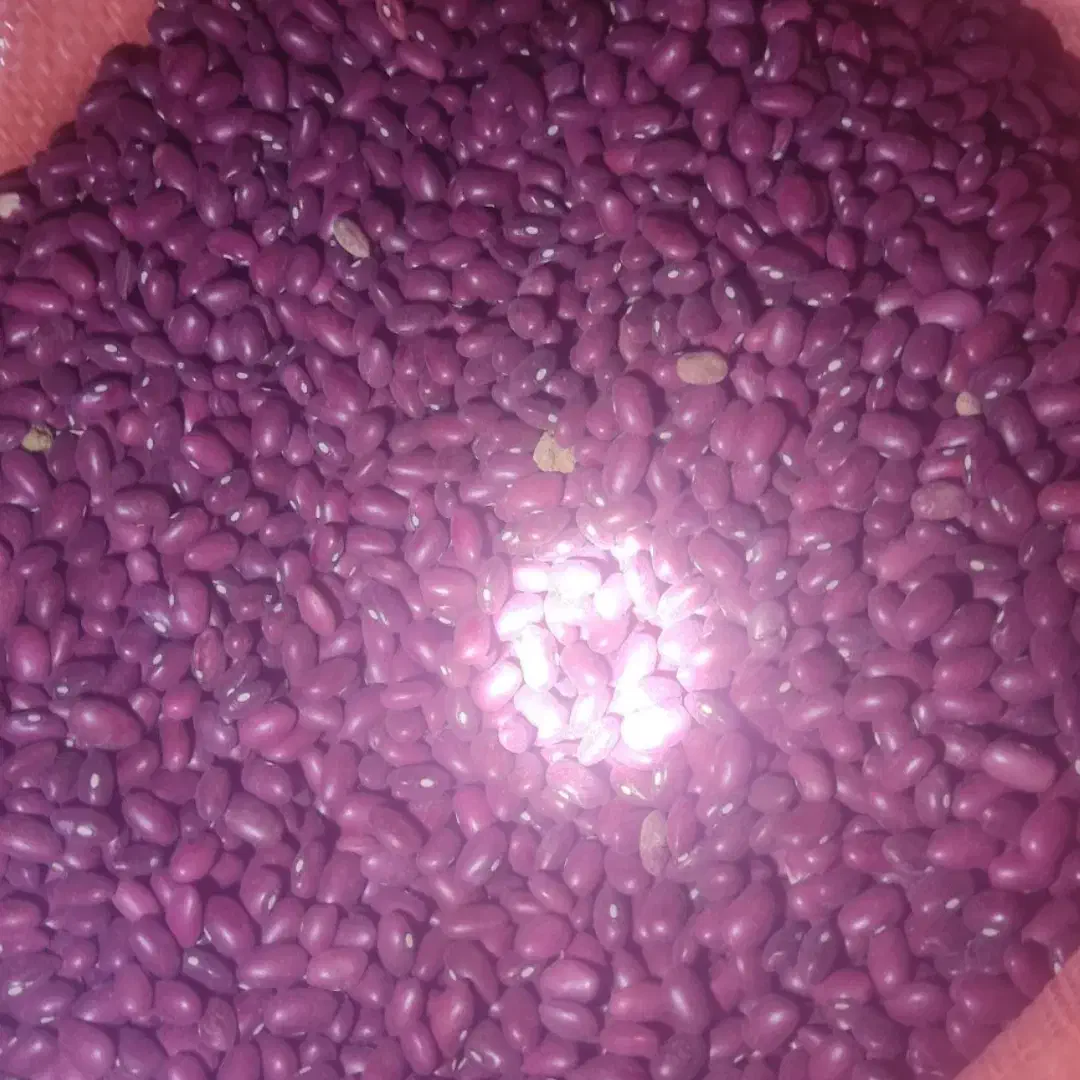 لوبیا قرمز کیلویی ۲۱۰۰۰۰|خوردنی و آشامیدنی|صائین قلعه, |دیوار