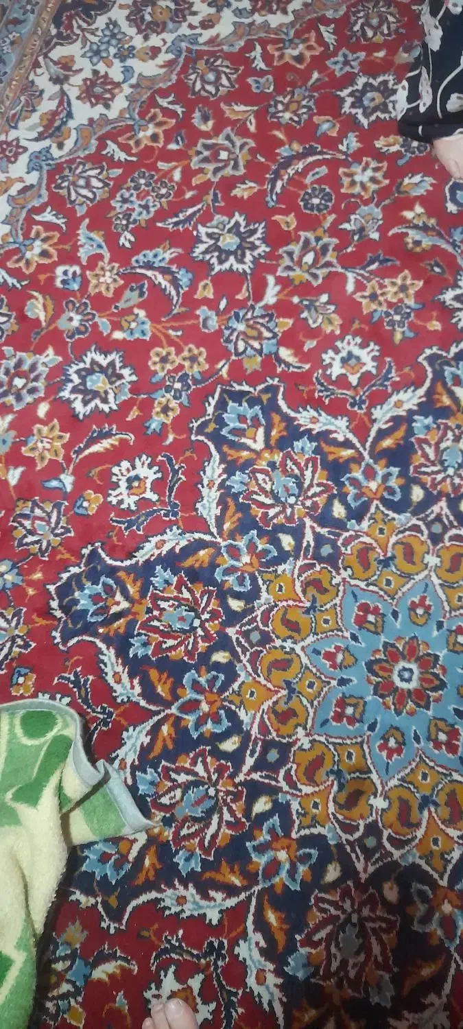 فروش فرش|فرش|مشهد, عامل|دیوار