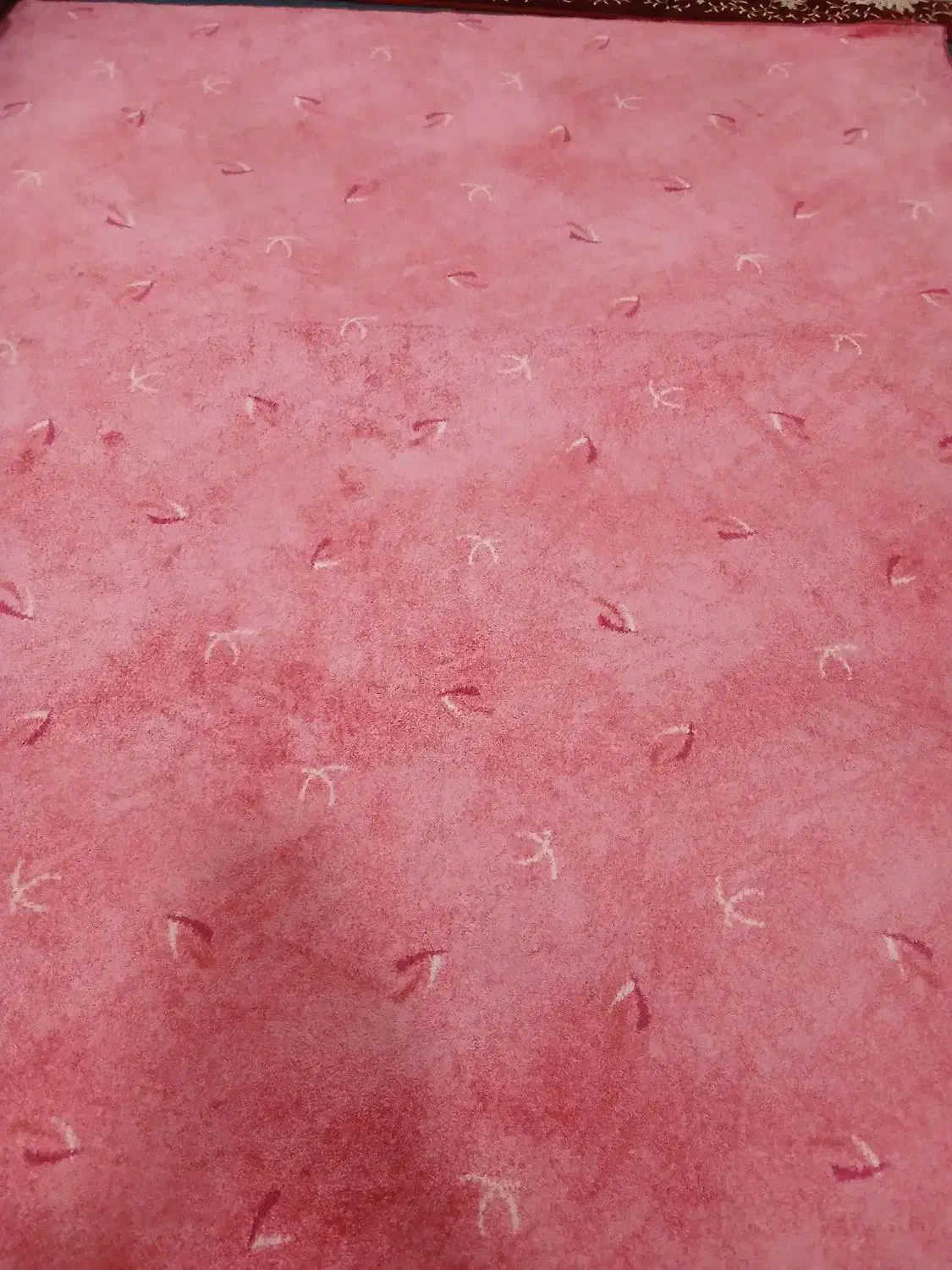 کناری|موکت|ری, فیروزآبادی|دیوار