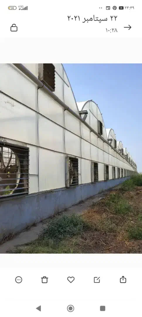 خرید و فروش گلخانه|خدمات پیشه و مهارت|شهرضا, |دیوار