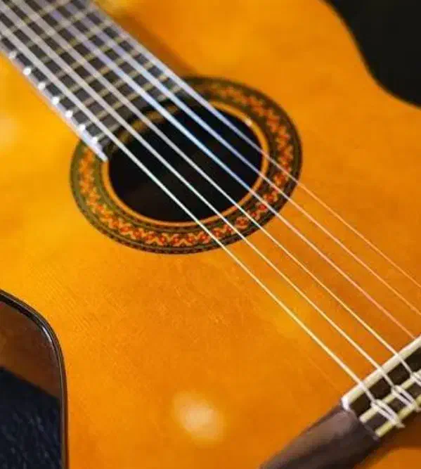 گیتار|گیتار، بیس، امپلیفایر|بوشهر, |دیوار