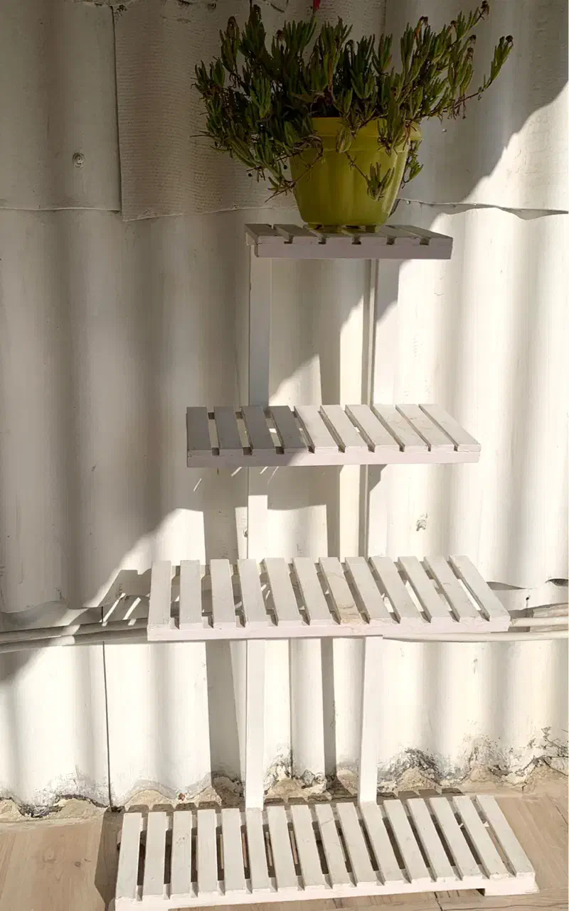 شلف و قفسه چوبی بزرگ|کتابخانه، شلف، قفسههای دیواری|اردبیل, |دیوار