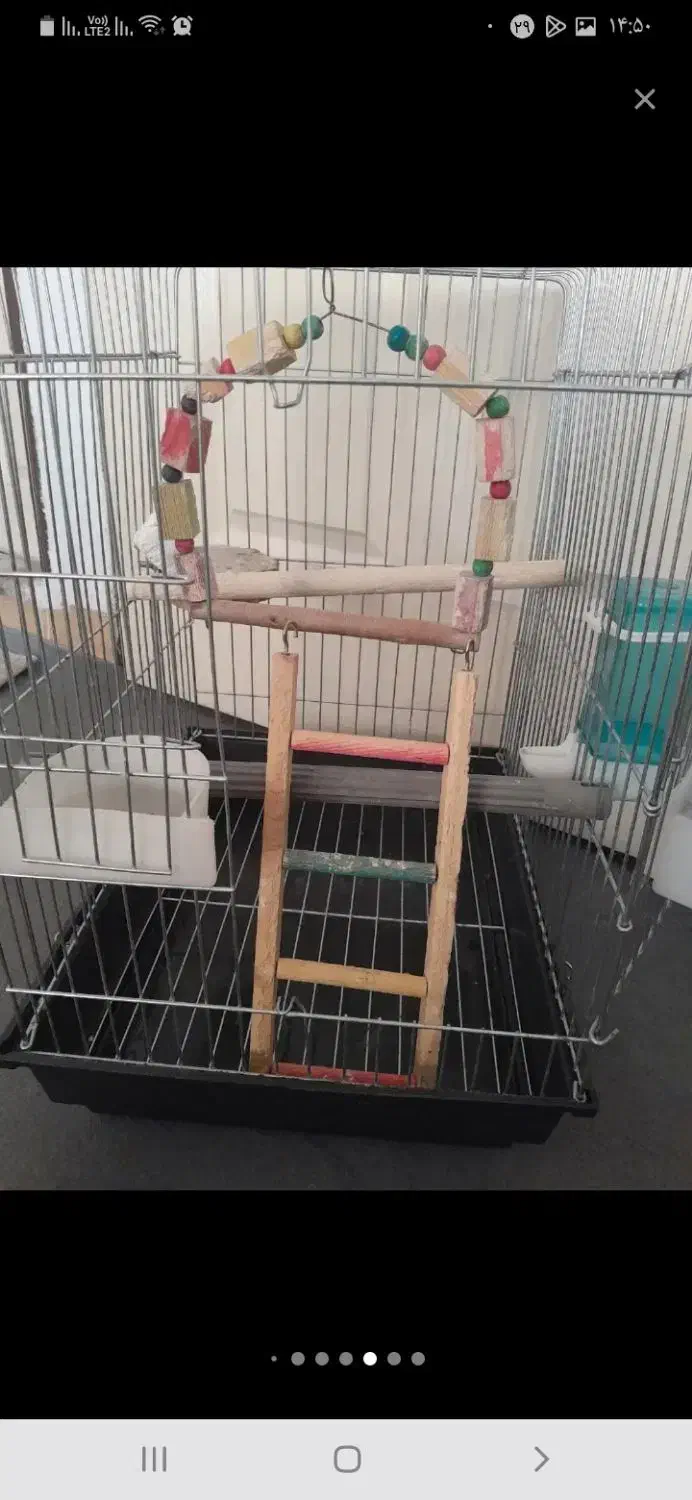 قفس پرنده|لوازم جانبی حیوانات|مشکیندشت, |دیوار