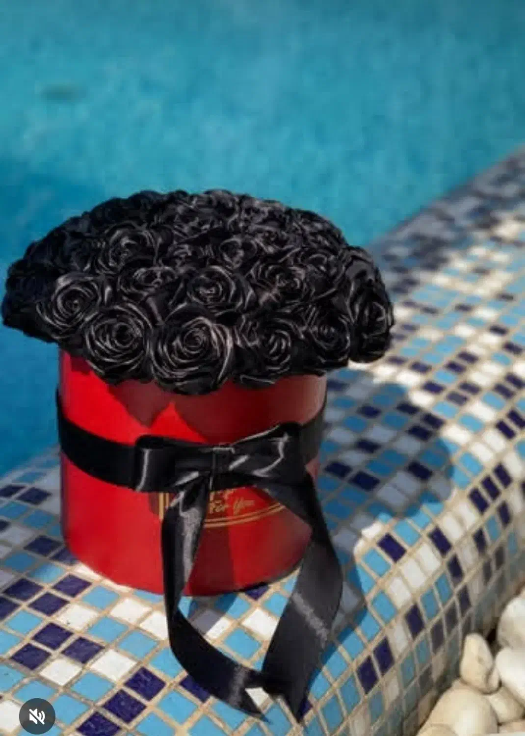 راهنمایی برای ازدواج|فعالیت داوطلبانه|بندر ماهشهر, |دیوار