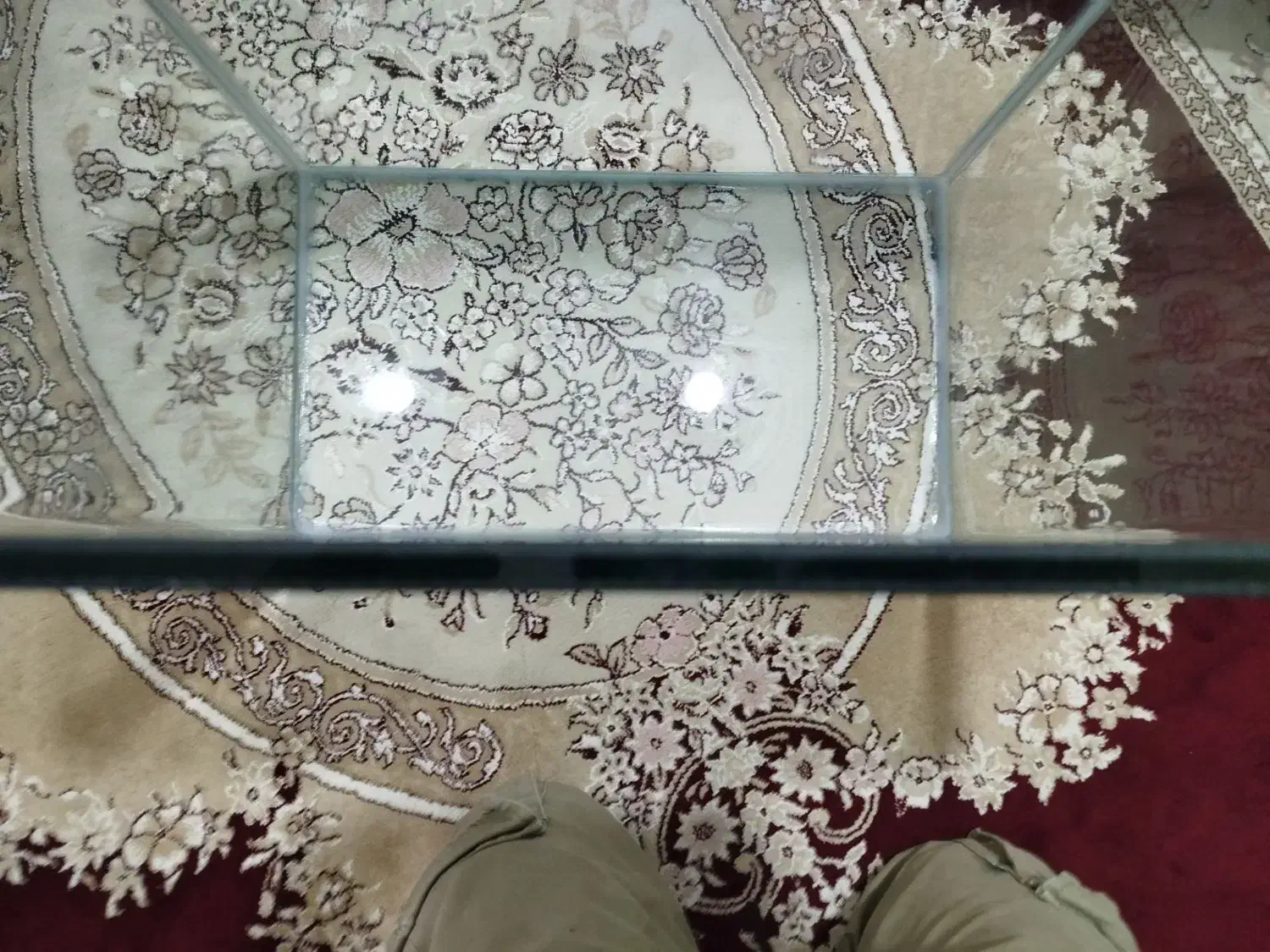 فروش اکواریوم|ماهی|نقده, |دیوار