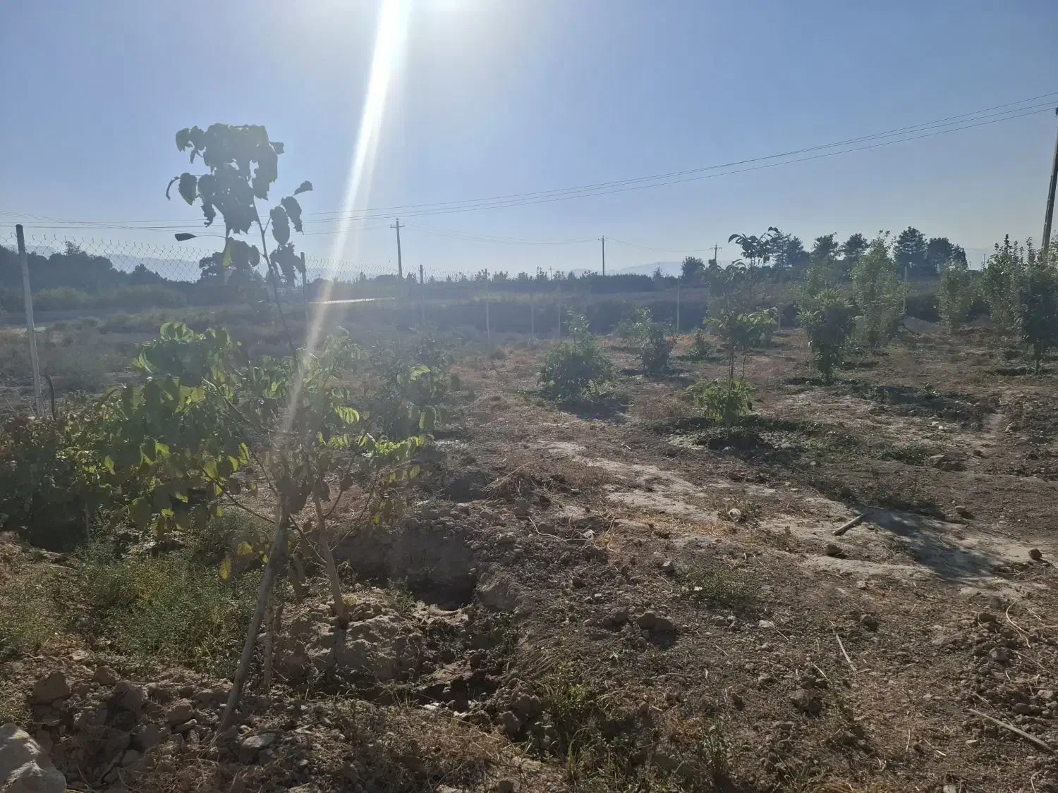 فروش باغ شهری|فروش خانه و ویلا|فیروزآباد (فارس), |دیوار