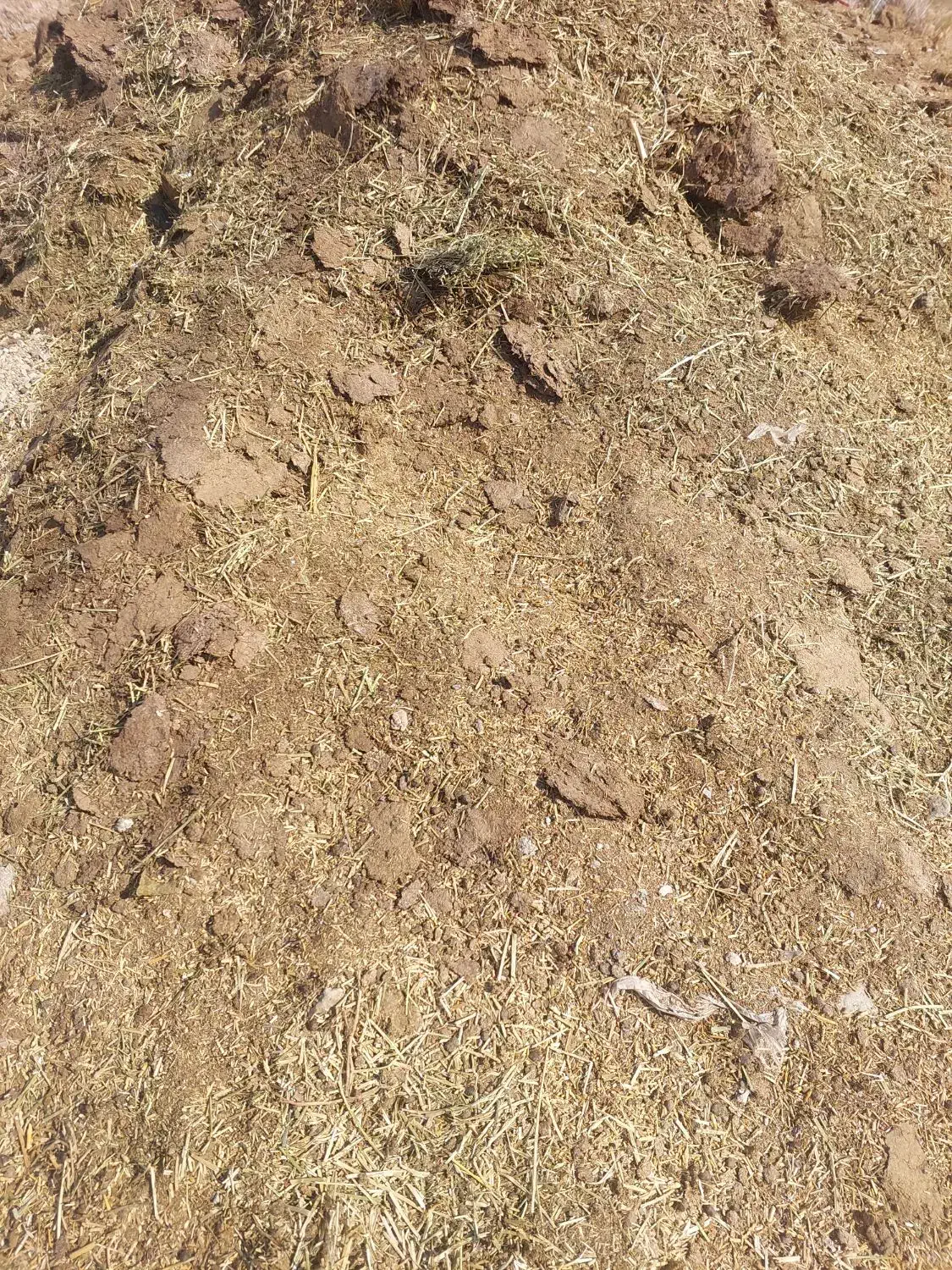 کود گوسفندی|گل و گیاه طبیعی|جیرفت, |دیوار