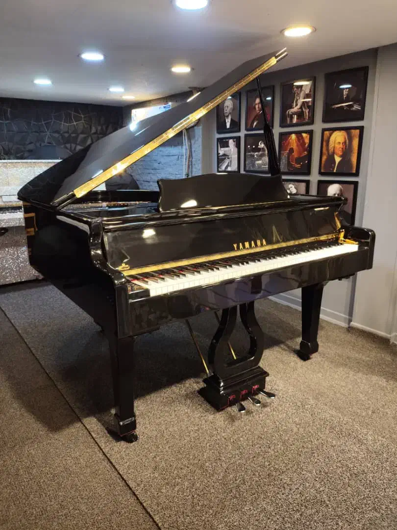 mohebi piano|پیانو، کیبورد، آکاردئون|بندر ماهشهر, |دیوار