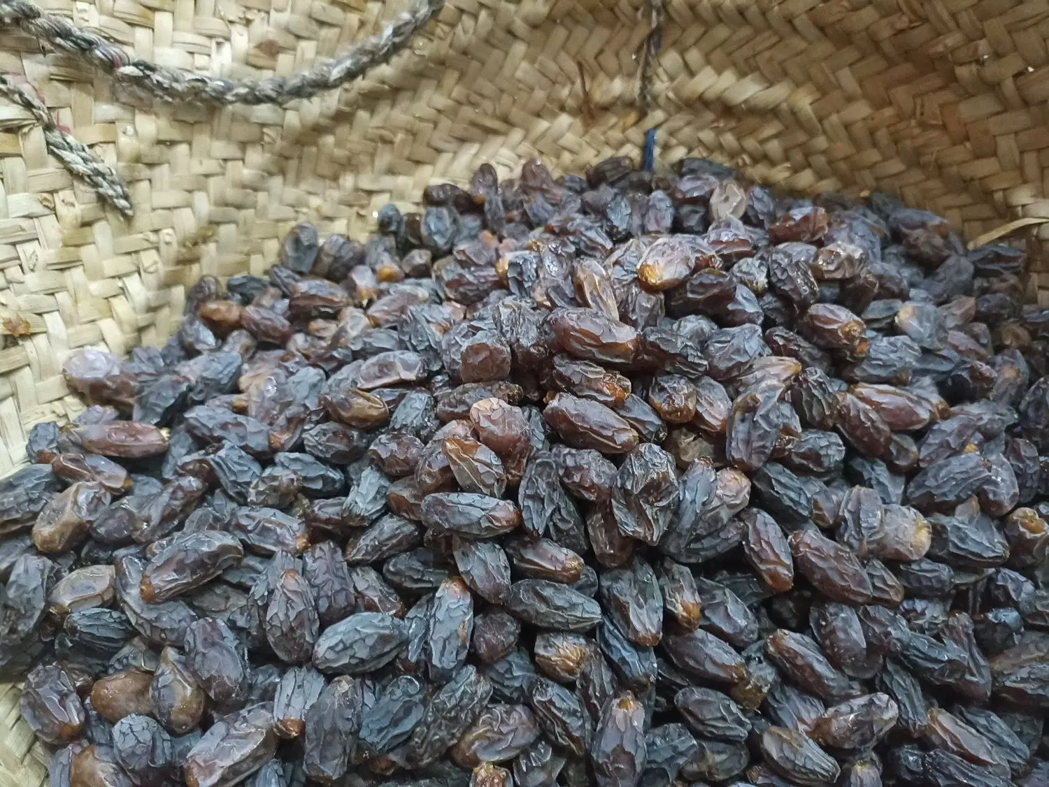 خرما|خوردنی و آشامیدنی|بوشهر, |دیوار