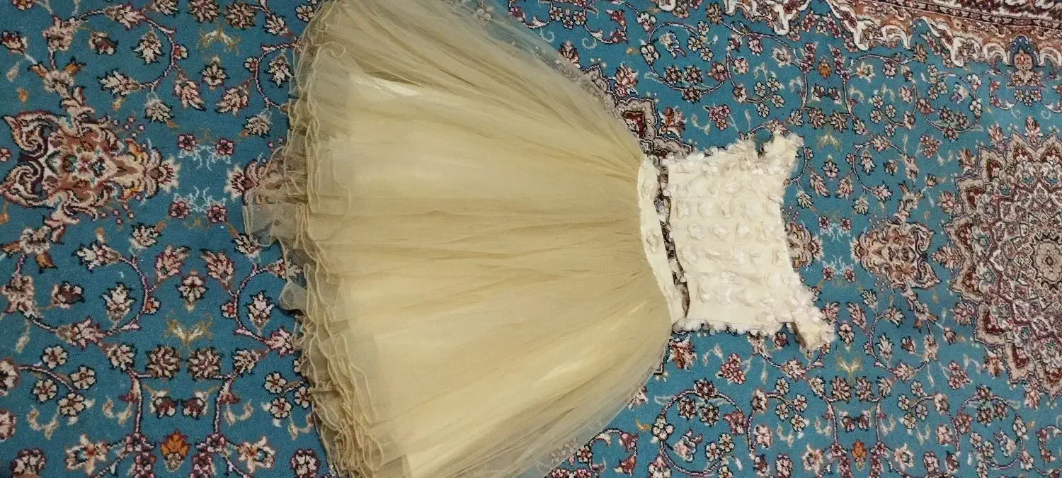 نیم تنه دامن مجلسی دخترانه|لباس|تایباد, |دیوار