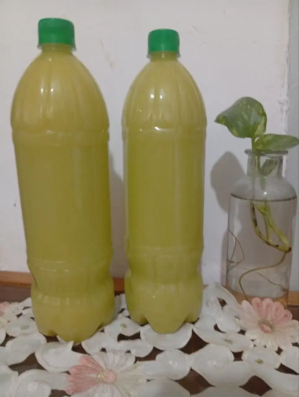 محصولات خانگی سیرداغ.سبزیجات و ترشیجات|خوردنی و آشامیدنی|ساری, |دیوار