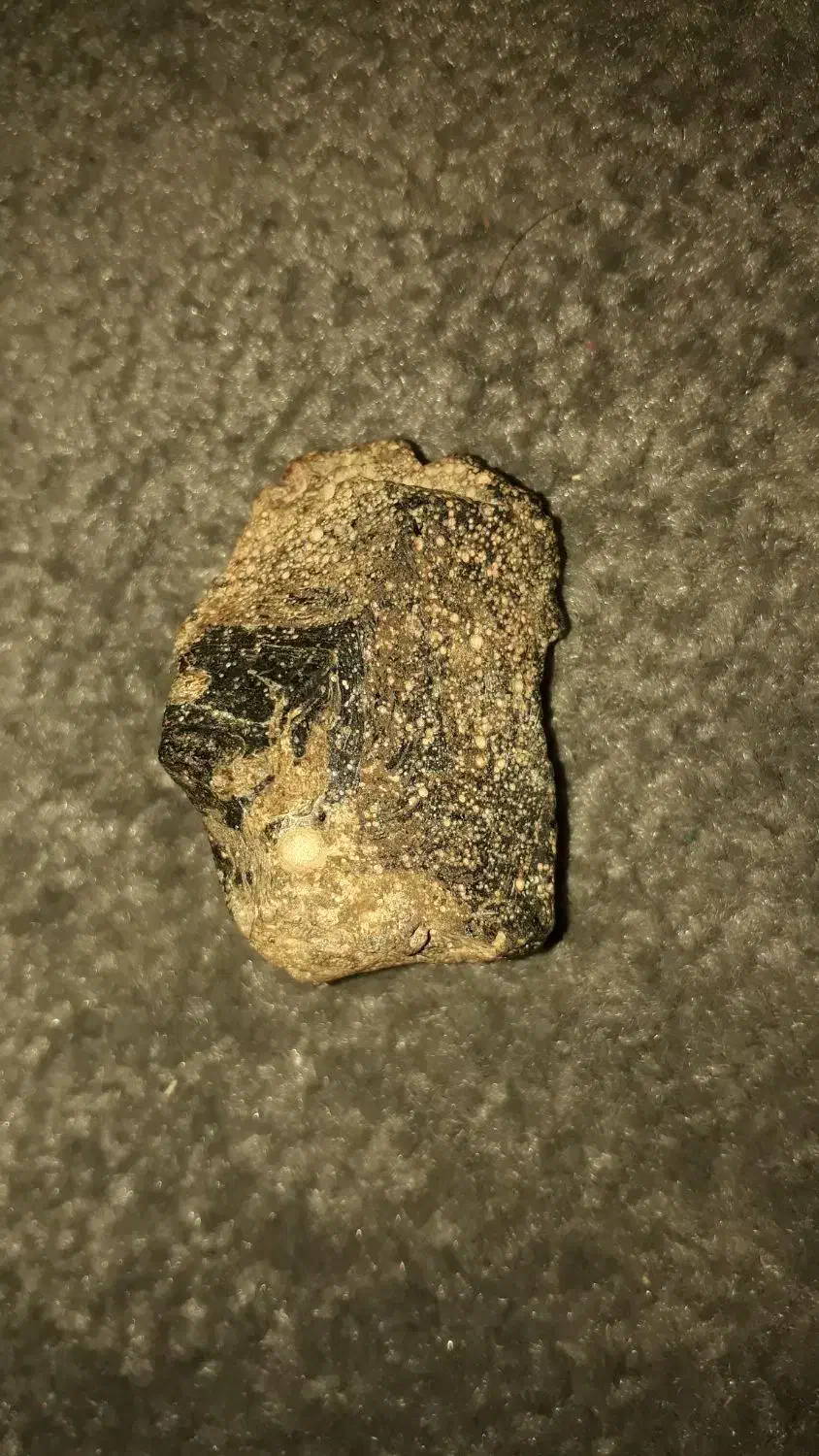 شهاب سنگ|کلکسیون اشیاء عتیقه|چگنی, |دیوار