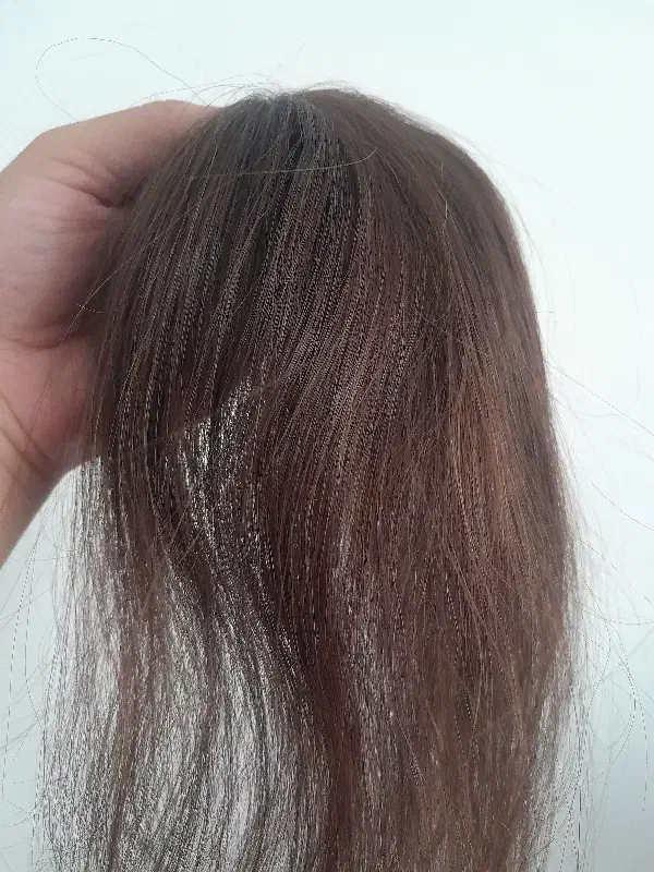 فروش پروتز مو طبیعی|آرایشی، بهداشتی، درمانی|تربتحیدریه, مظفریه|دیوار