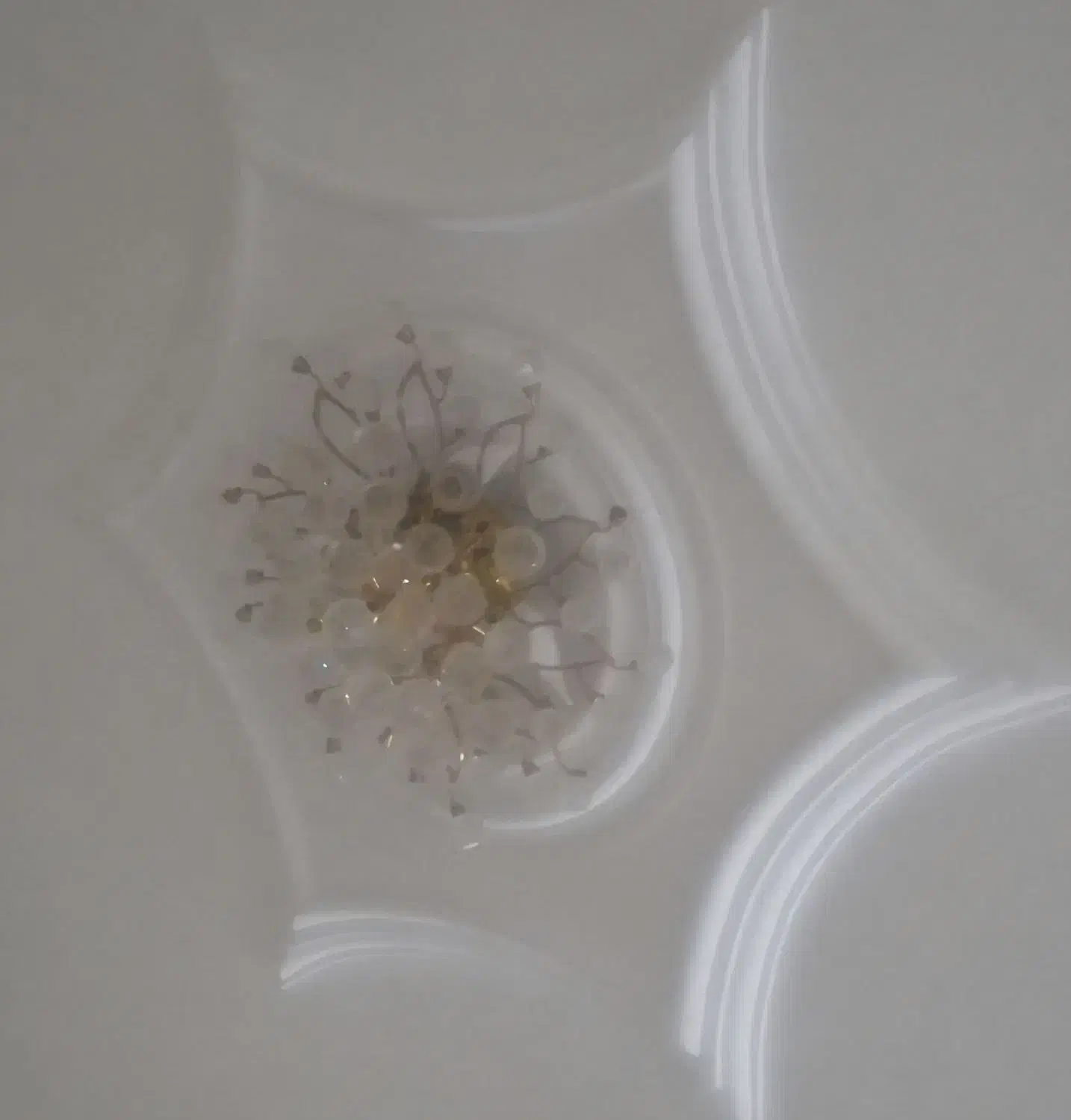 لوستر|لوستر و چراغ آویز|تهران, جوادیه|دیوار