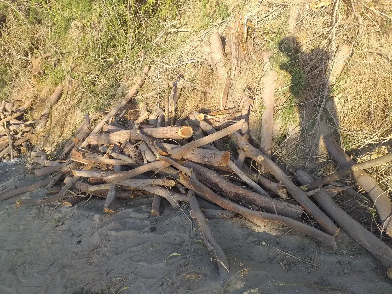 کارگر چوب بر نیازمندم|استخدام صنعتی، فنی، مهندسی|جاسک, |دیوار