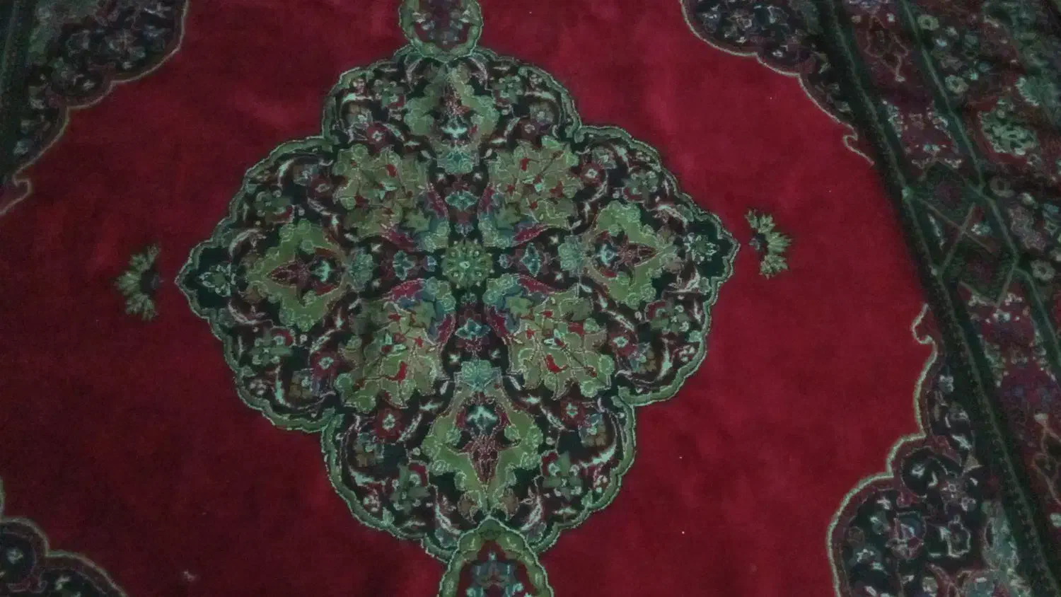 فرش ۱۲متری کاملاً سالم|فرش|شیراز, سعدیه شمالی|دیوار
