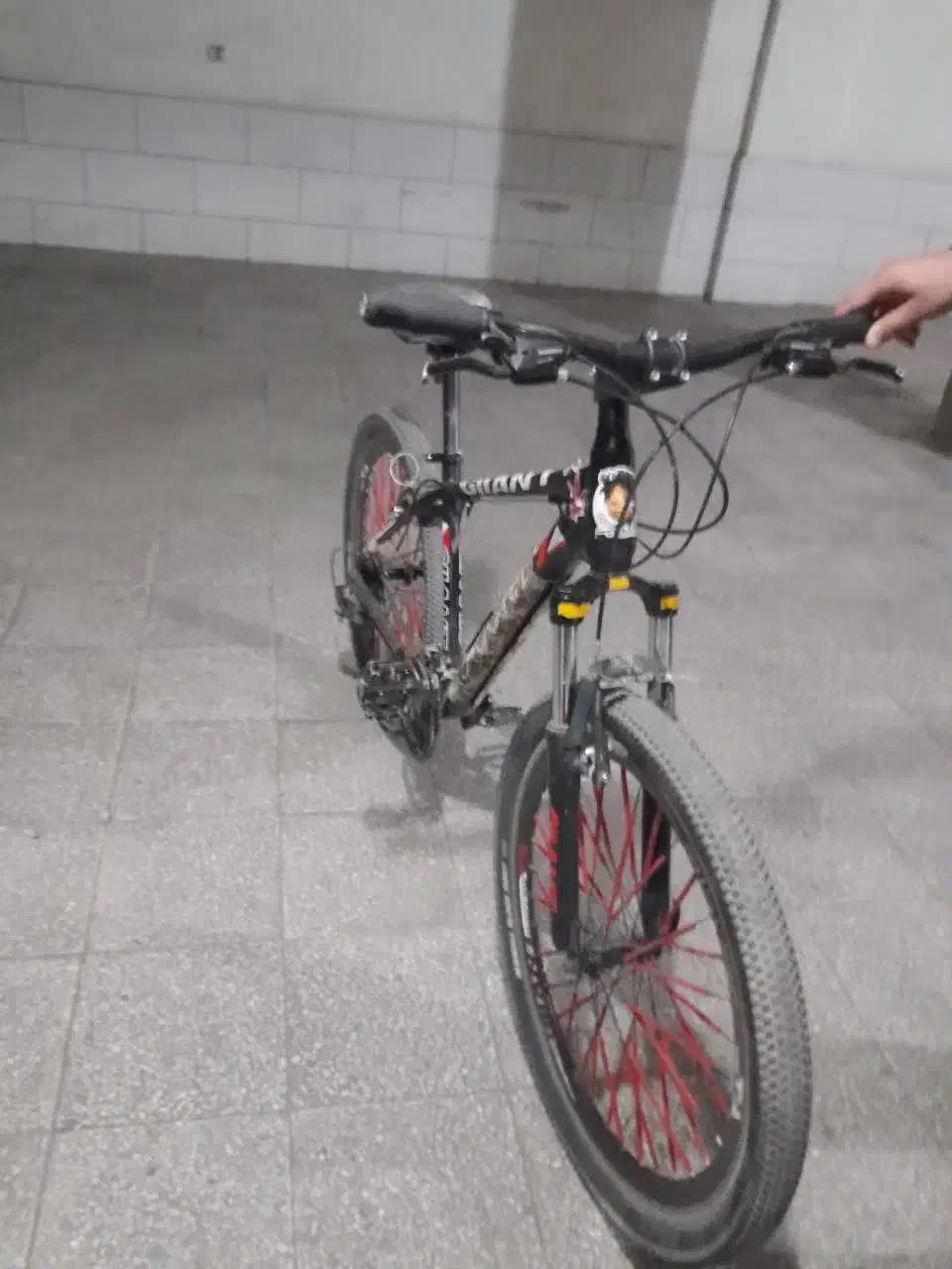 دوچرخه|دوچرخه، اسکیت، اسکوتر|اراک, |دیوار