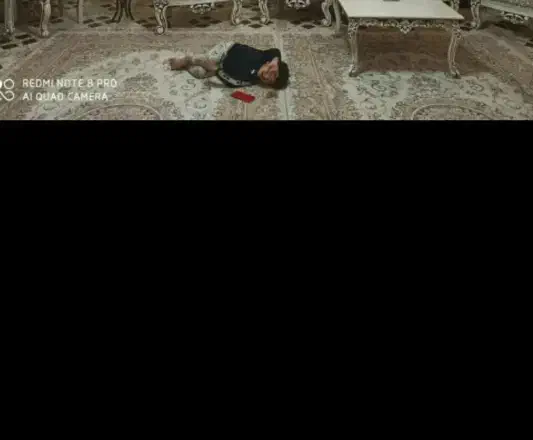 عجله|تابلو فرش|سنندج, |دیوار