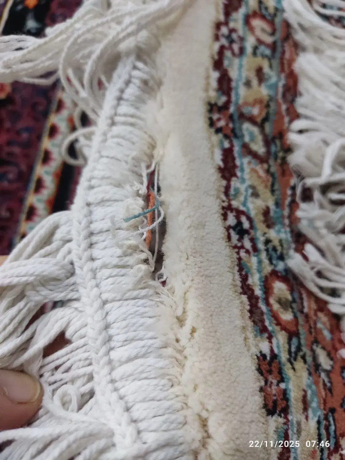 ریز ماهی گرد|پادری|کرج, عظیمیه|دیوار