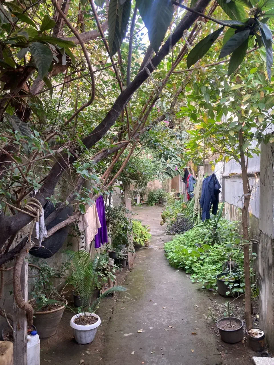 خانه ویلایی ۱۶۴ متری تک برگ سند|فروش خانه و ویلا|رشت, قاسمیه|دیوار