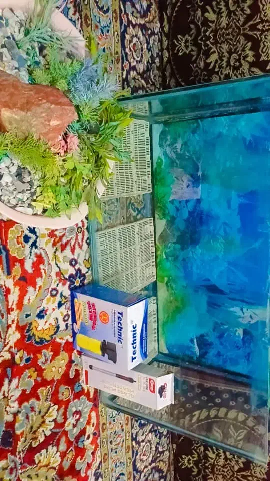 آکواریوم|ماهی|خرمشهر, |دیوار