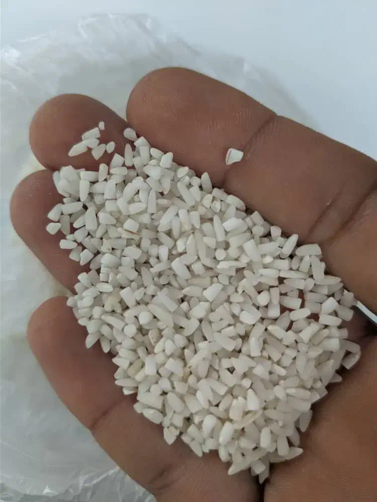 نیم دانه زرددم|خوردنی و آشامیدنی|رشت, پارک شهر|دیوار