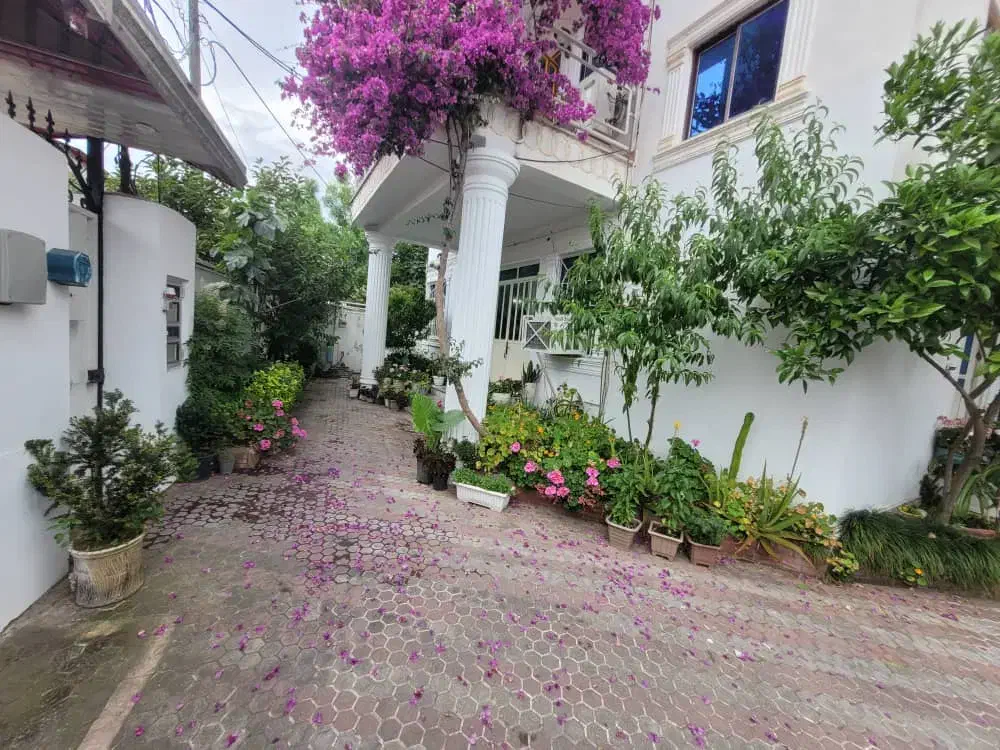 اجاره سوئیت دانشجویی /حیاط دار/ رامسر|اجارهٔ آپارتمان|رامسر, |دیوار