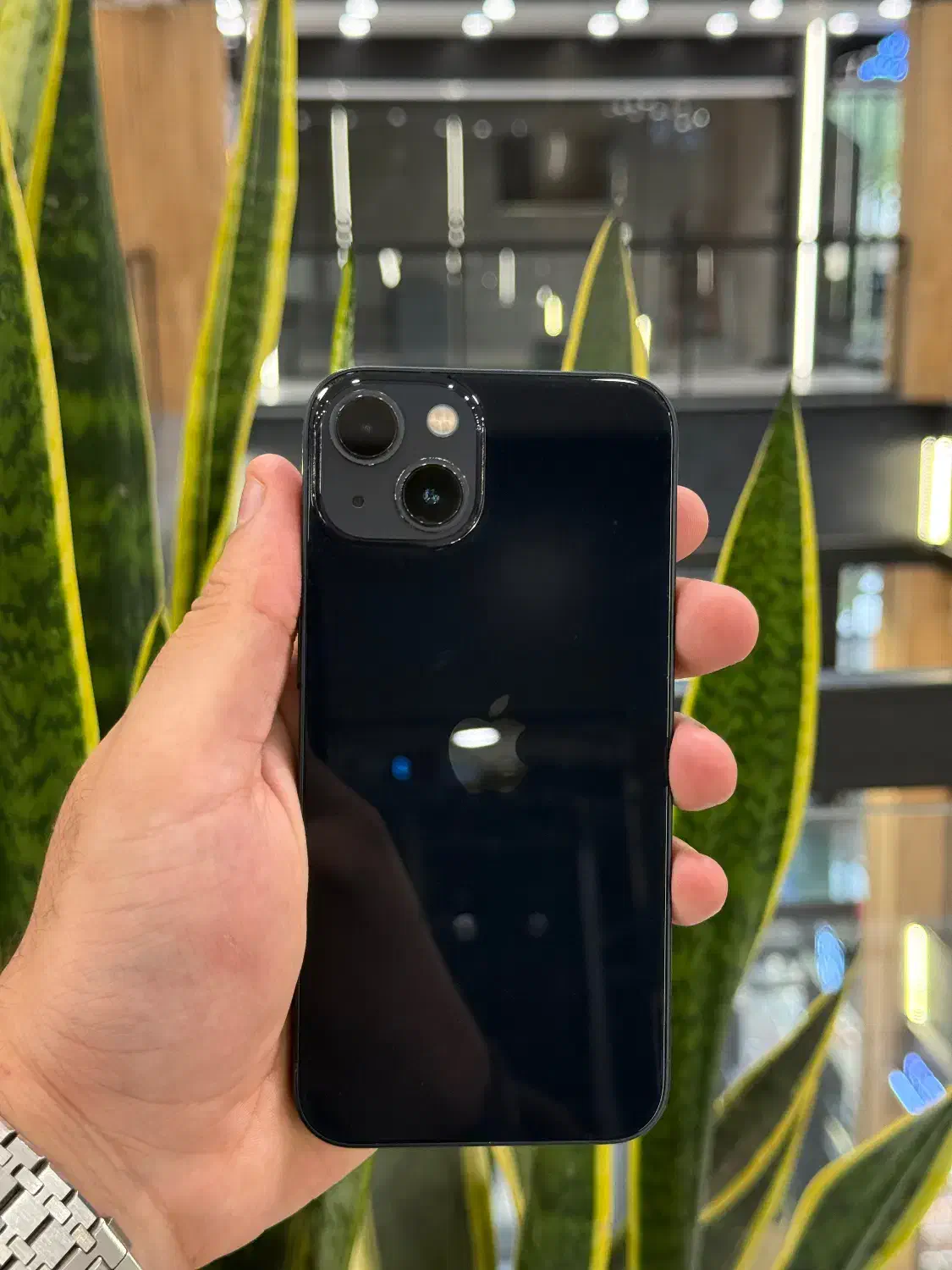 اپل ۱۳ نرمال|موبایل|رشت, چله خانه|دیوار