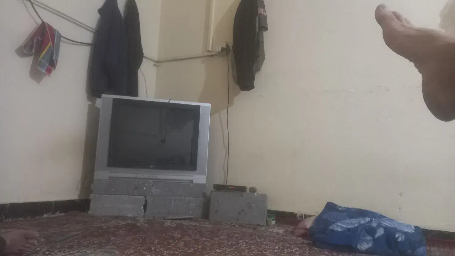 تلویزیون۲۹اینچ|تلویزیون و پروژکتور|پاوه, |دیوار