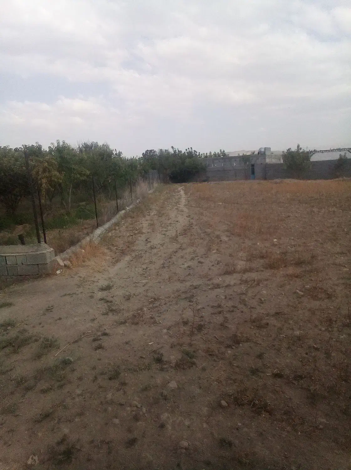 زمین 3000 متری محدوده گلبهار|فروش زمین و ملک کلنگی|گلبهار, نوبهار|دیوار