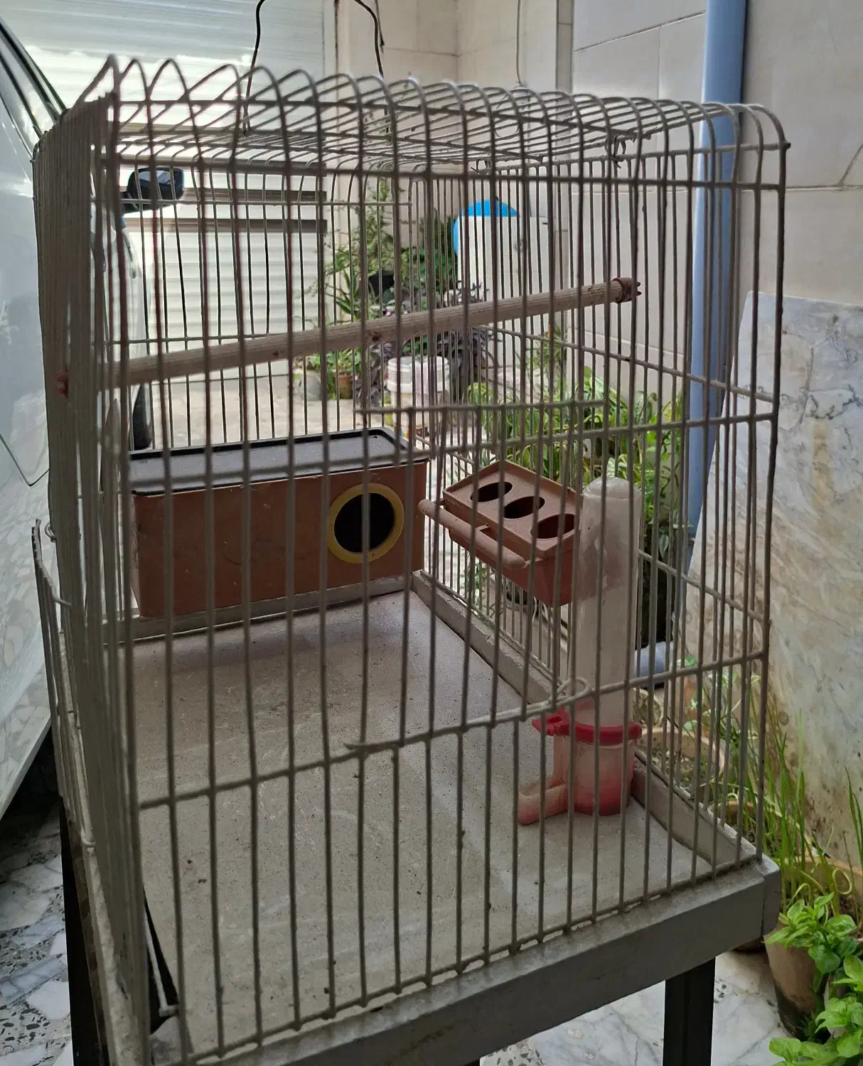 قفس پرنده|لوازم جانبی حیوانات|رشت, پارک شهر|دیوار