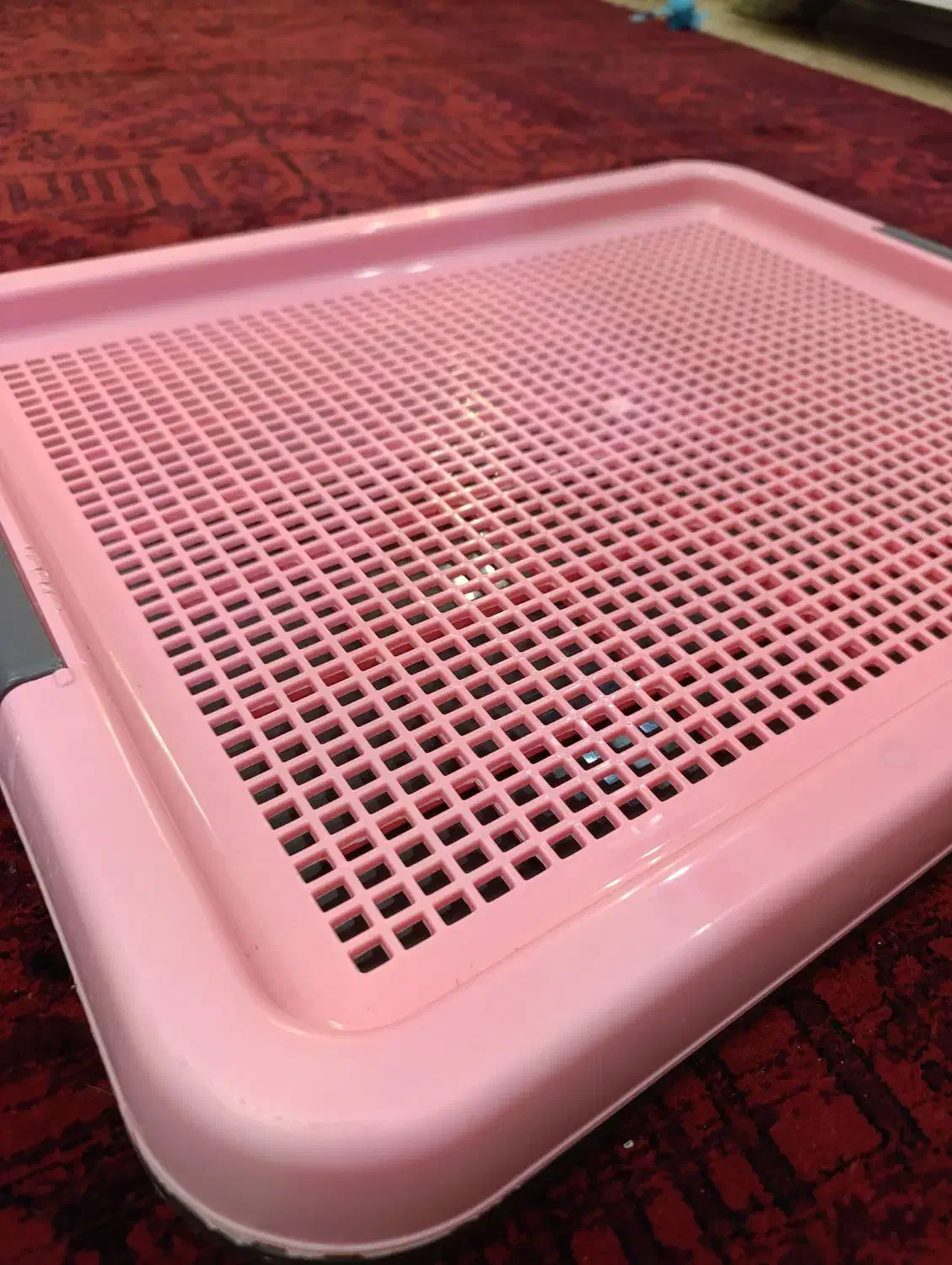 وسایل سگ ( سینی ادرار ، ادکلن ، بالم )|لوازم جانبی حیوانات|رشت, گلسار|دیوار