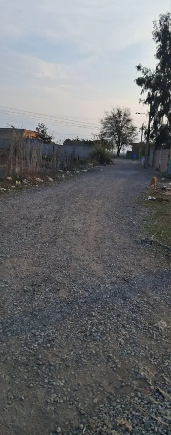 زمین مسکونی|فروش زمین و ملک کلنگی|خان ببین, |دیوار