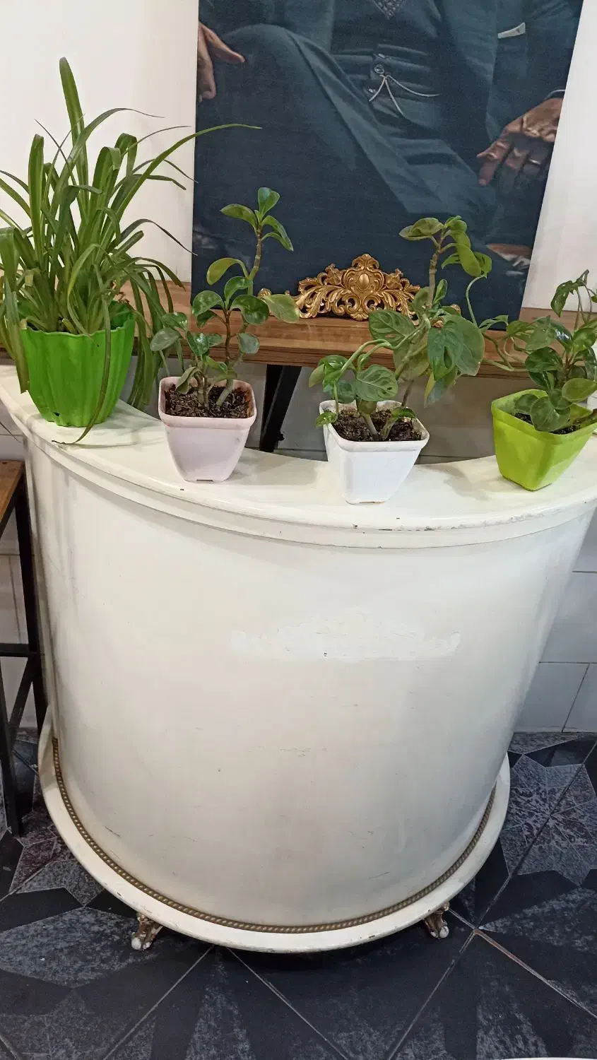 میز پیشخوان|میز تحریر و کامپیوتر|گنبد کاووس, |دیوار