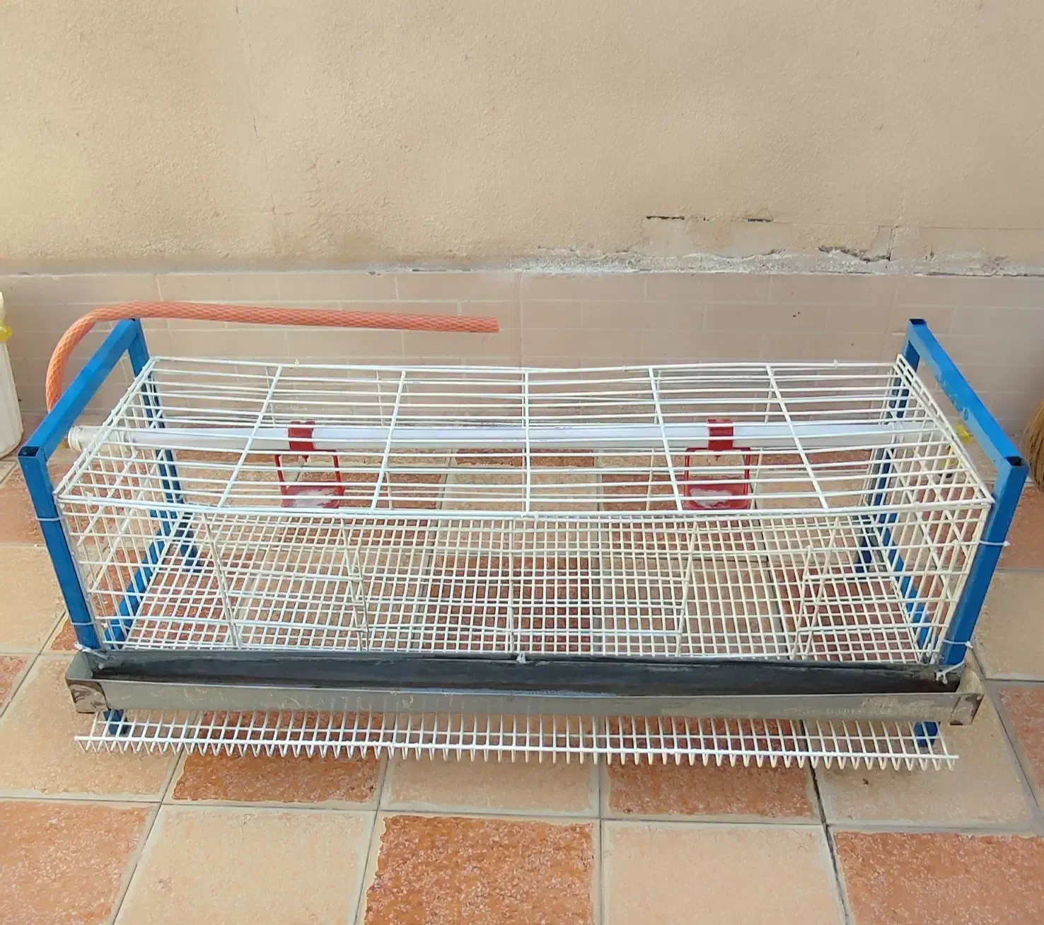 قفس بلدرچین|لوازم جانبی حیوانات|کاشان, درب جوشقان|دیوار