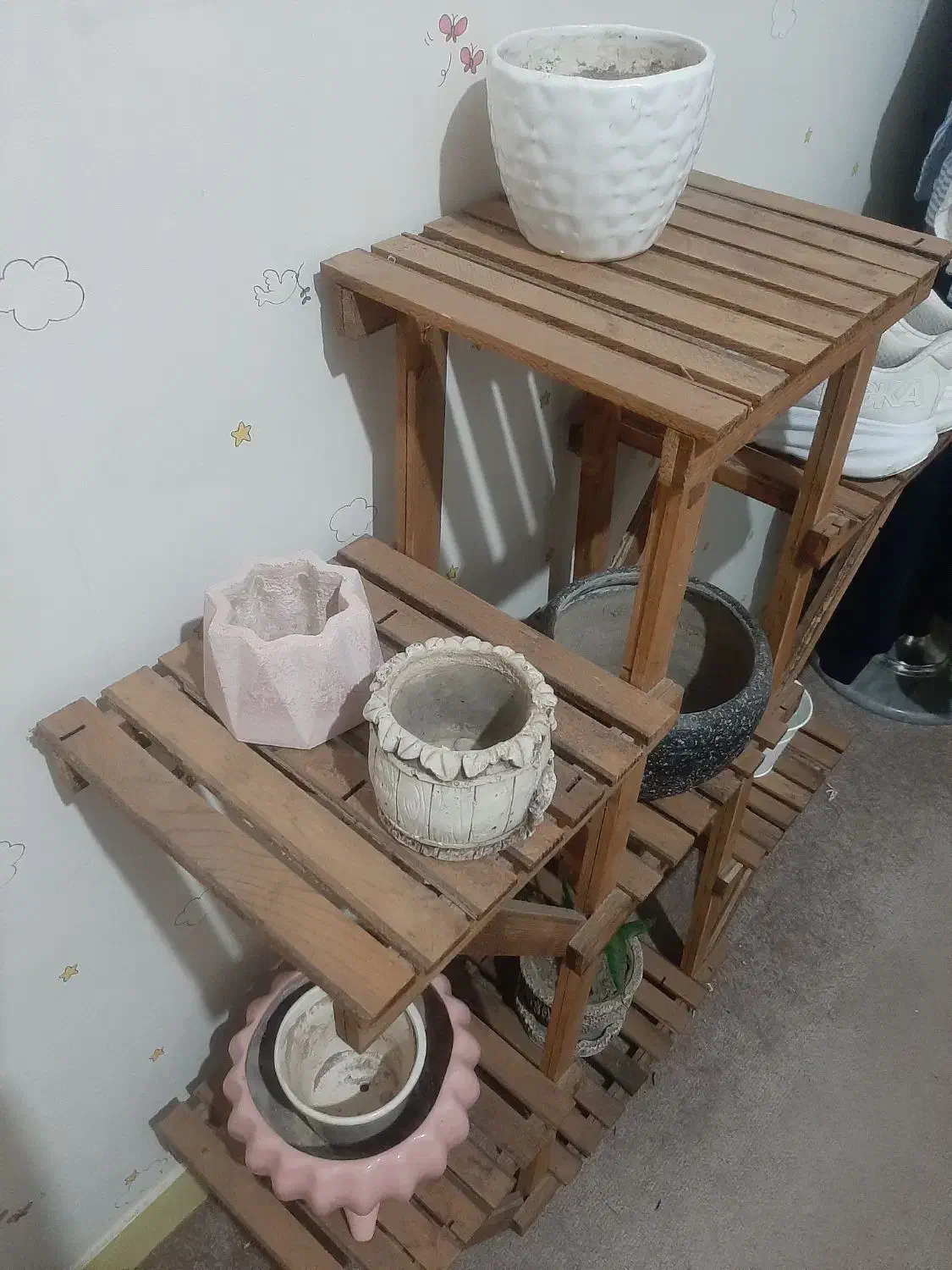 استند گلدان|گل و گیاه طبیعی|فردیس, نسترن شرقی|دیوار